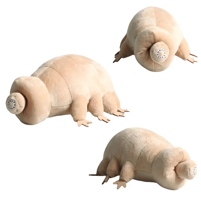 Kids Education Movies - 25cm niedźwiedź wodny Tardigrade pluszowa zabawka