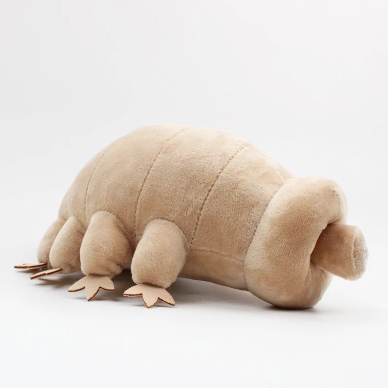 25cm niedźwiedź wodny Tardigra – Kids Education Movies recenzja i cena
