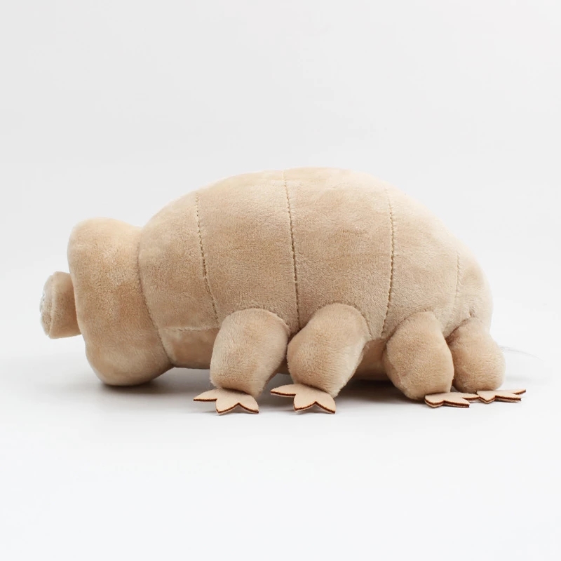 25cm niedźwiedź wodny Tardigra – Kids Education Movies recenzja i cena