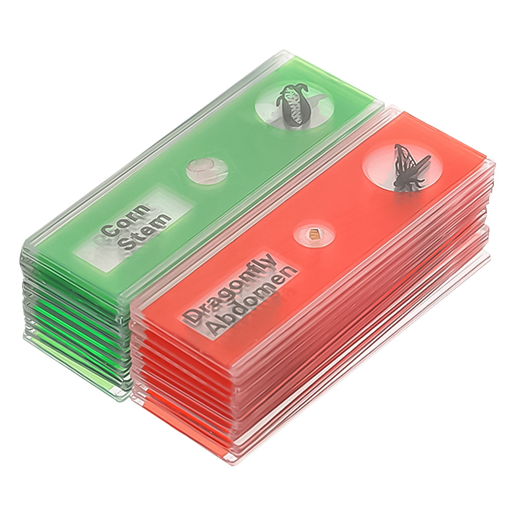 Zestaw 24 szt. plastikowych sz – Kids Education Name recenzja i cena